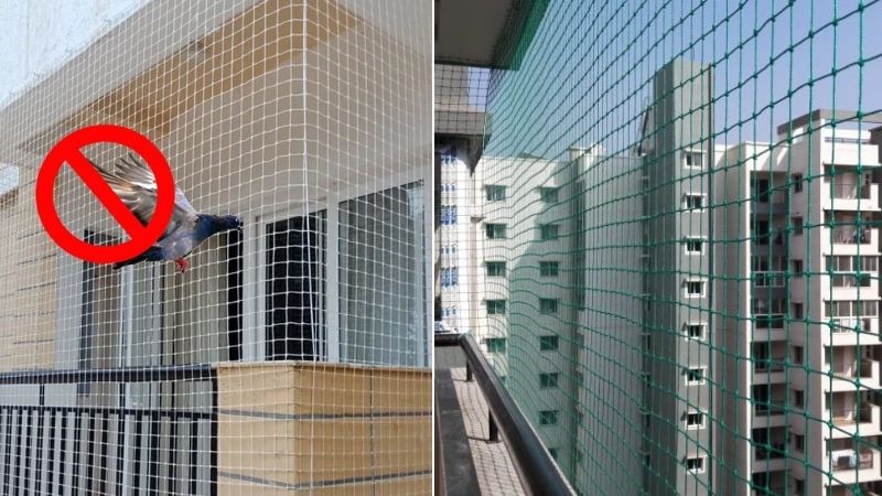 Pigeon Safety Nets in Bangalore.Call 8296599143 for Quote