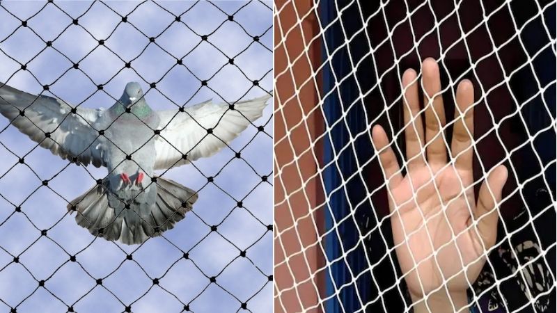 Pigeon Safety Nets in Bangalore. Call 8296599143 for Quote