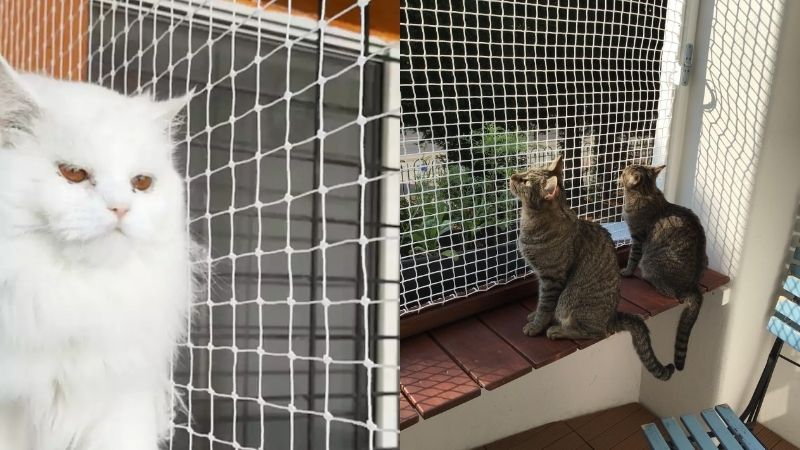 Pets Safety Nets in Bangalore. Call 8296599143 for Quote